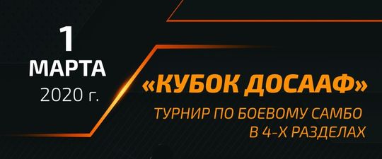 Кубок ДОСААФ Тверской области по боевому самбо 1 марта 2020