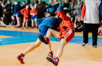 Прошёл открытый турнир по боевому самбо 2024
