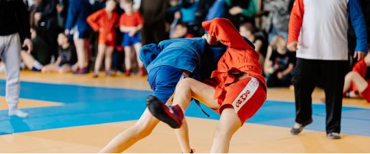 Прошёл открытый турнир по боевому самбо 2024