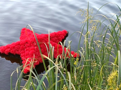 День памяти и скорби - Фото 8